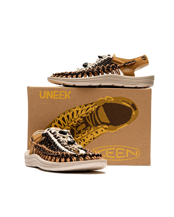 keen-uneek-black-chipmunk-